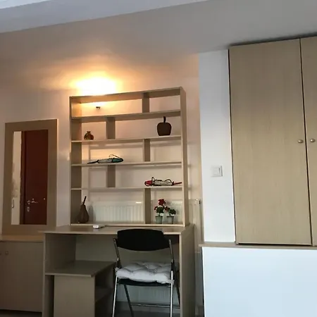 Studio Sunny Apartament